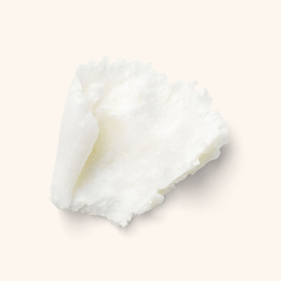 Pure Organic Shea Butter 100% Natural | KARIGINS